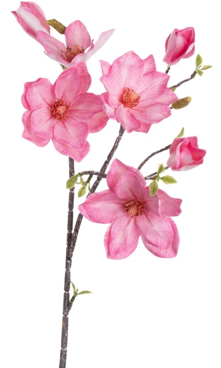 Magnolia Różowa Gałązka 86 Cm