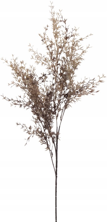 Asparagus Jesienny Gałązka 80 Cm Dodatek Kwiaty Sztuczne
