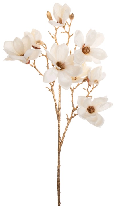Magnolia Jasny Krem Złota Łodyga Gałązka 87 Cm