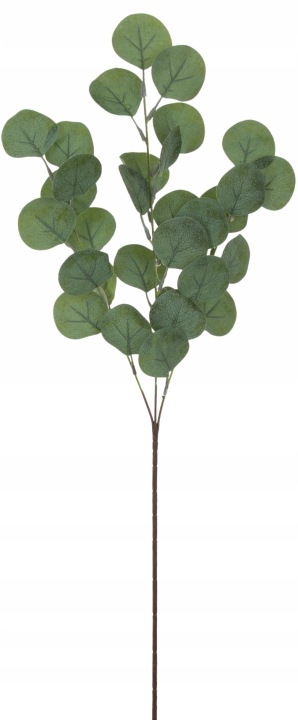 Eukaliptus Zielony Gałązka Roślina Dodatek Sztuczny 70 Cm