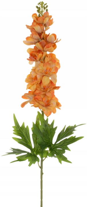 Ostróżka Pomarańczowa Gałązka 88 Cm